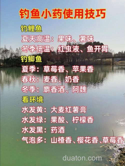 钓鱼小药花香为主怎么搭配？