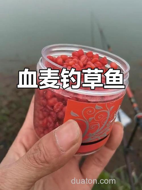 血麦钓鱼真实效果?