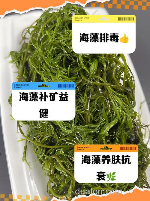 海藻鱼的绝密配方?