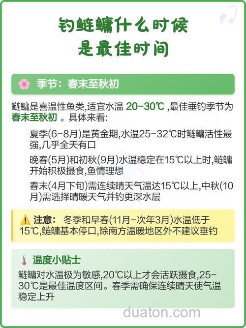 秋天钓鲢鳙什么时间最佳?秋天钓鲢鳙钓多深合适?