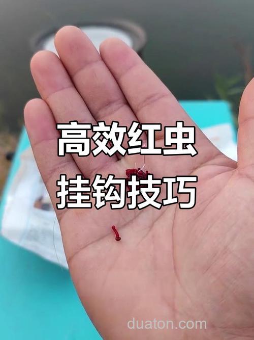 大红虫颗粒钓鲤鱼挂法?