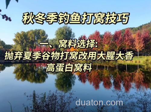 秋季钓鱼打窝多久发窝?秋季窝料打窝方法有哪些?