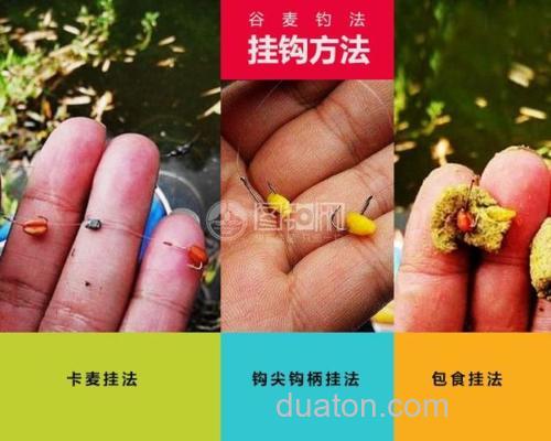 麦粒钓鱼教学?