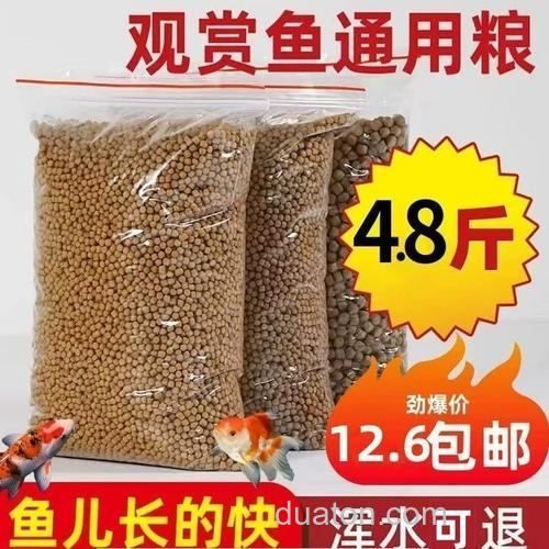小金鱼的饲料小鲫鱼能吃吗？