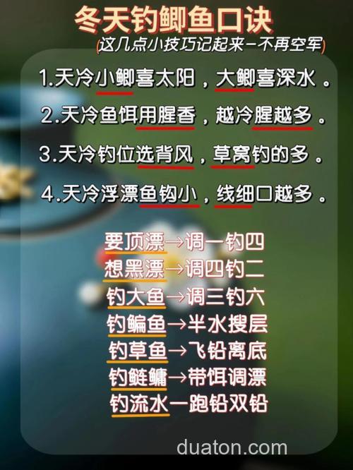 冬季钓鲫鱼的注意事项