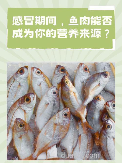 能用猪肉喂鱼吗?