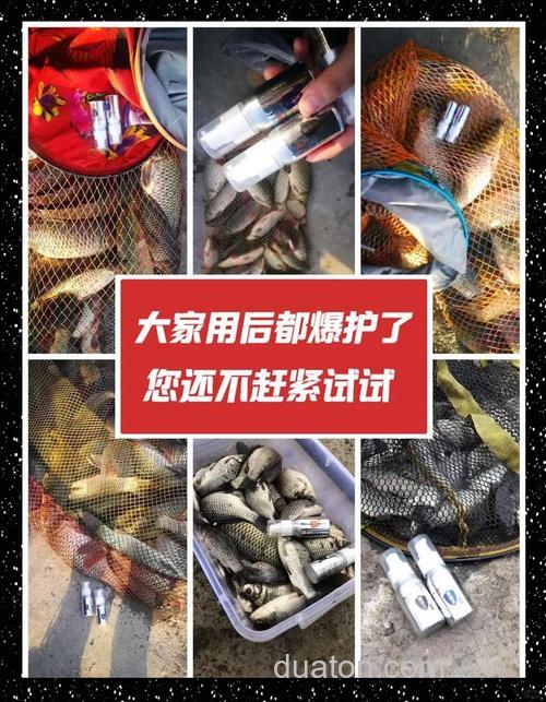 红糖开饵钓鲤鱼效果?