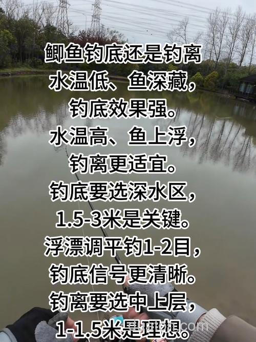 初秋钓鲫鱼钓远还是钓近