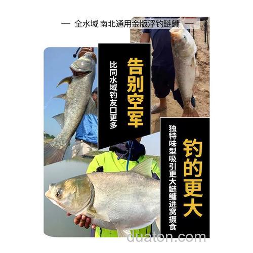 金版浮钓鲢鳙什么味型?