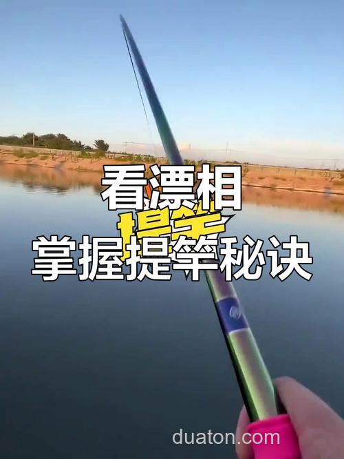 漂相与提竿时机一样吗?