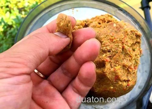 菜籽饼自制鲢鳙饵料？