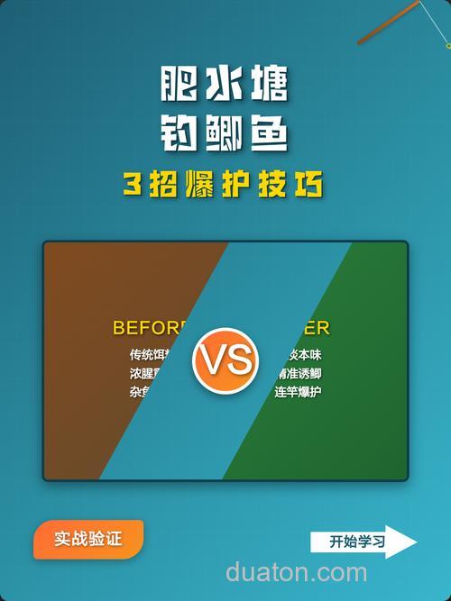 肥水塘钓鲫鱼的正确方法？