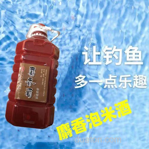 鲫鱼麝香米酒怎么样?