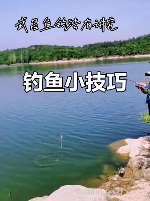 武昌鱼怎么垂钓?武昌鱼垂钓技巧