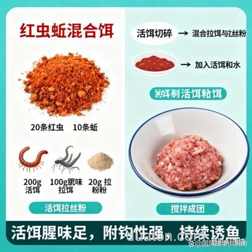 冬季北方野钓鲤鱼最实用的饵料？