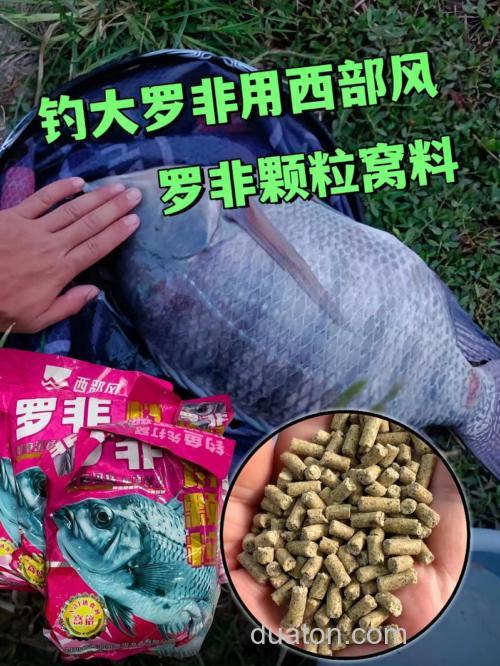 钓罗非鱼要什么料