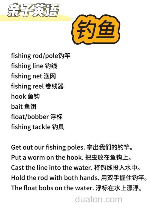 鱼饵的英文翻译?