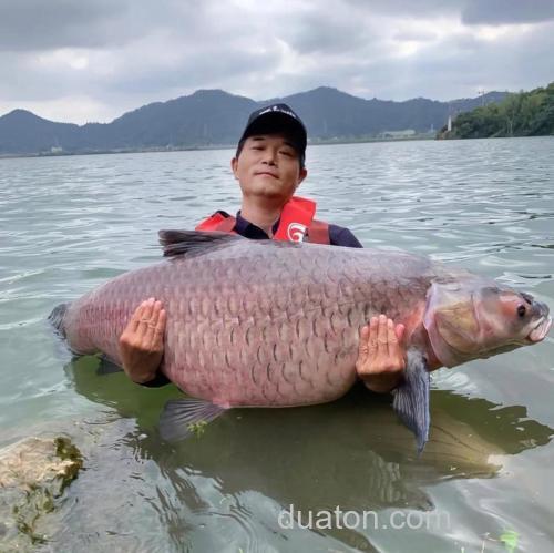 钓鱼大师都有谁?