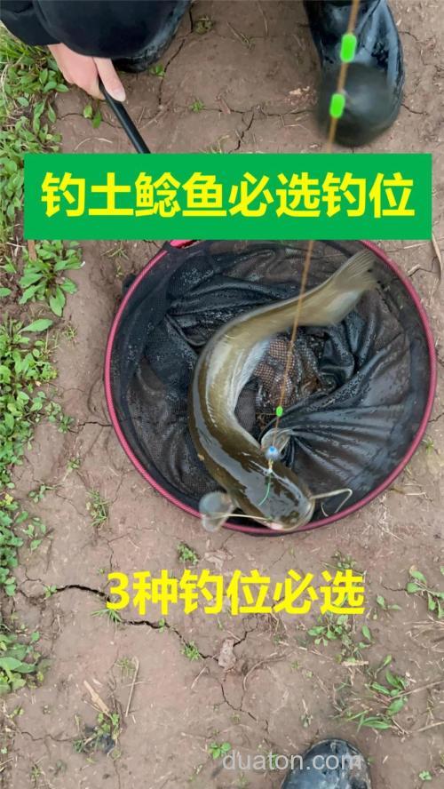 用泥鳅钓鲶鱼用多大的铅?