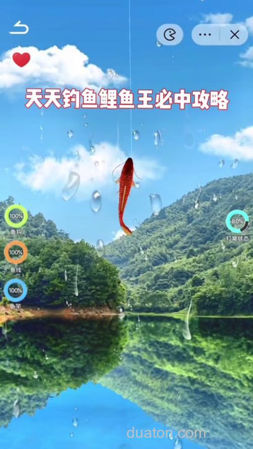 天天钓鱼鲤鱼王必中攻略?