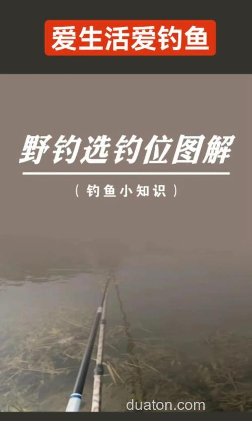 沟渠小河野钓的钓场饵料选择技巧