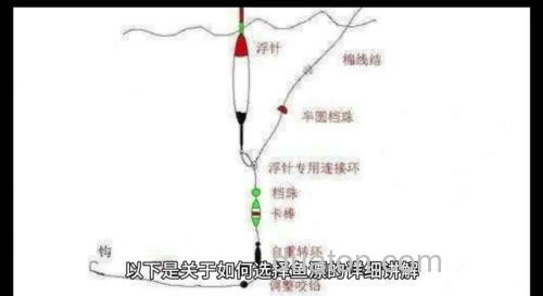 自然水域垂钓野生的鲤鱼怎么选浮漂?
