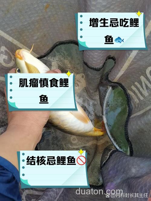 甲亢患者能吃香菜吗,能吃鲤鱼吗,或者能吃那些鱼之类的??求解答。帮帮忙