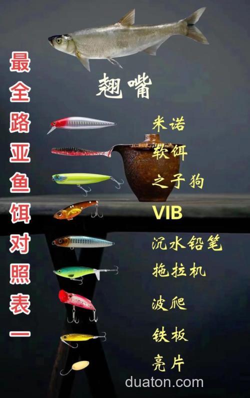 我的饵对路吗?