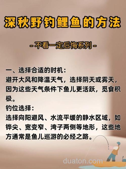 入秋了,垂钓鲤鱼有技巧,想钓大鲤鱼要了解这些技巧