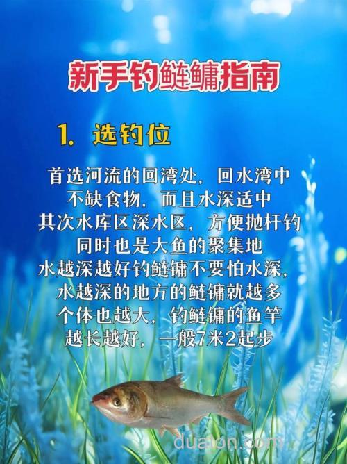 钓鲢鱼的技巧是什么方法