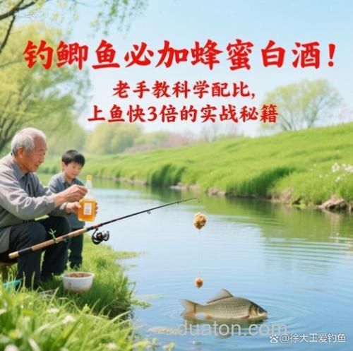 加蜂蜜钓什么鱼？