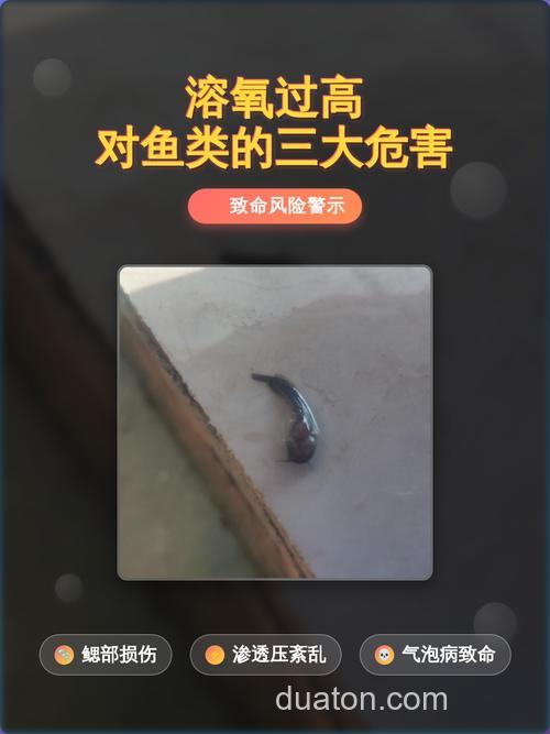 溶氧量低的时候鱼在哪?
