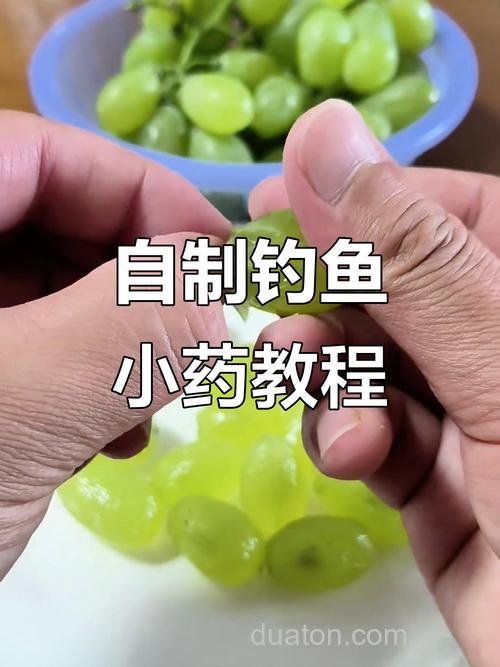 自制作钓鱼果酸小药的方法是什么?