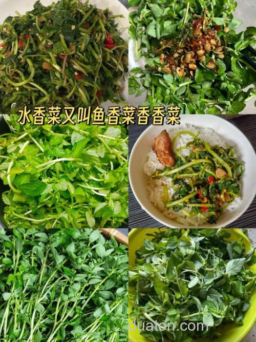 什么鱼料香?