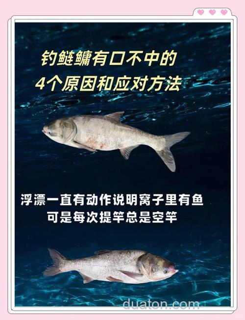 下顿不中鱼的原因有哪些？