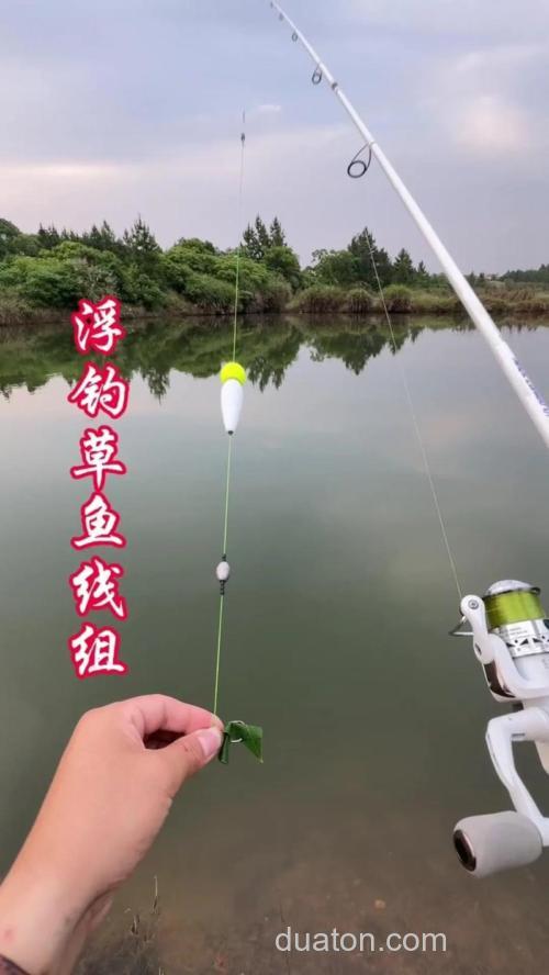 初冬海竿水库怎么钓草鱼?