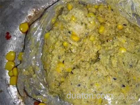 豆渣钓鲤鱼最佳配方?