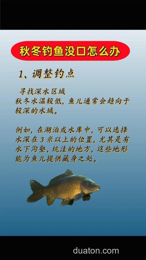 冬天钓鱼不开口怎么解决？