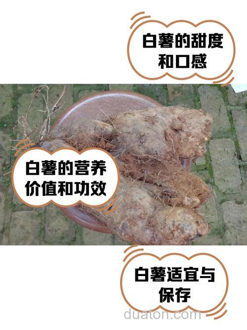 白饵可以加红薯嘛?