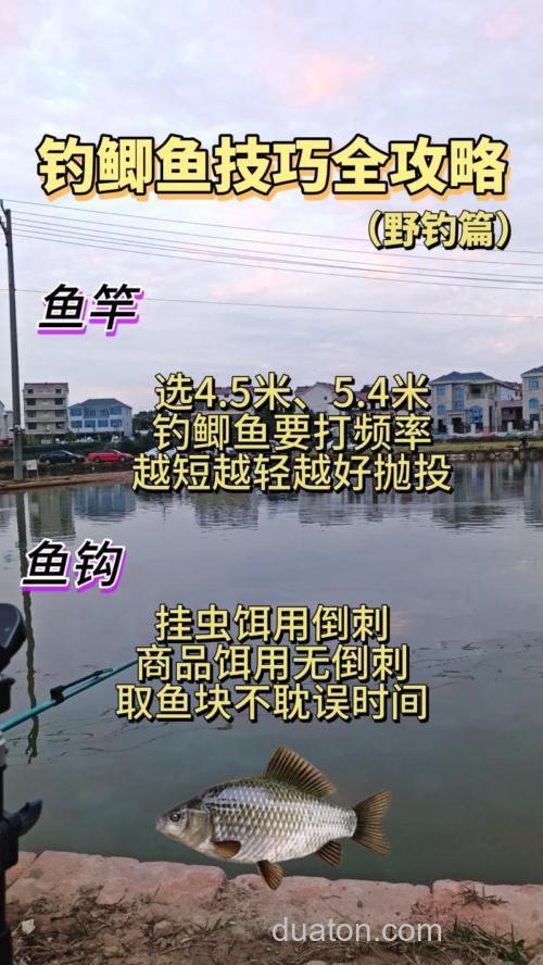 秋季野河如何钓鲫鱼?