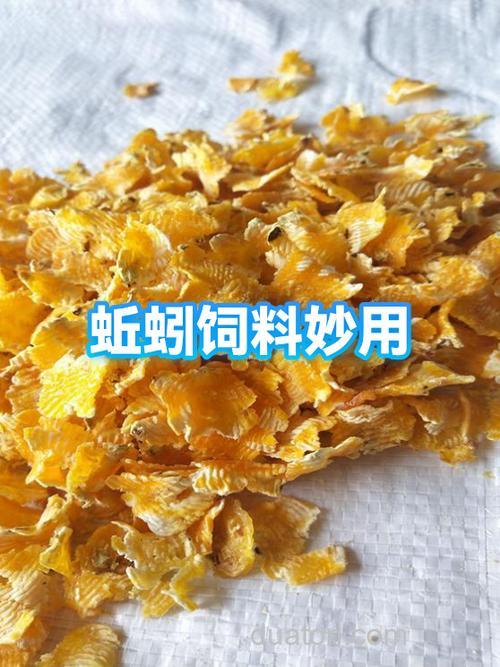 蚯蚓高蛋白原料怎么做?