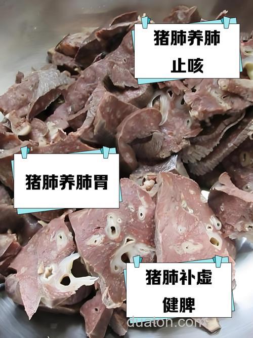 猪肺有人用过没?