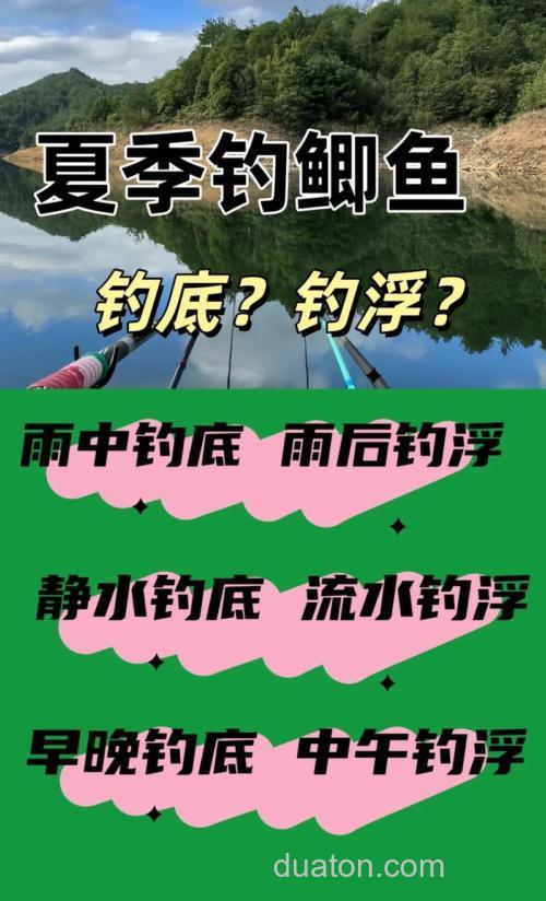 夏天小麦钓鲤鱼是钓底还是钓浮?