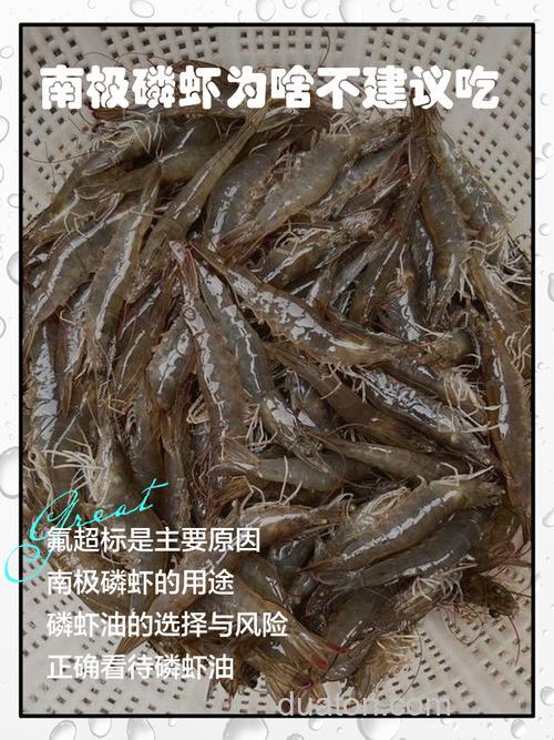 南极磷虾每年被吃掉3亿吨,为何一直吃不完?