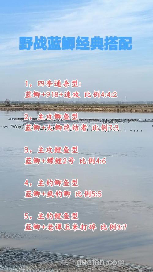 野战蓝鲫和不空军如何搭配?