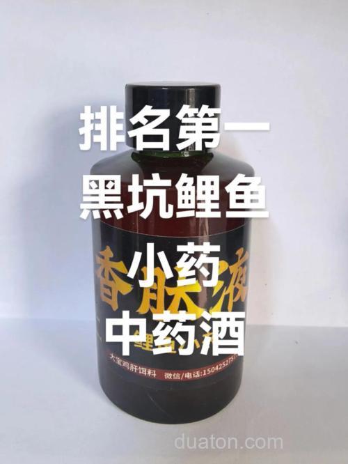 天热钓鲤鱼用什么小药？