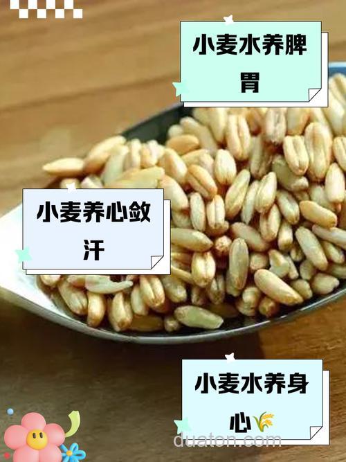 嫩玉米小麦谷子用什么来泡?