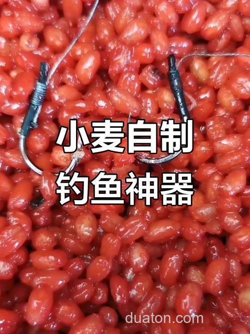 “绿麦子”怎么做鱼饵?
