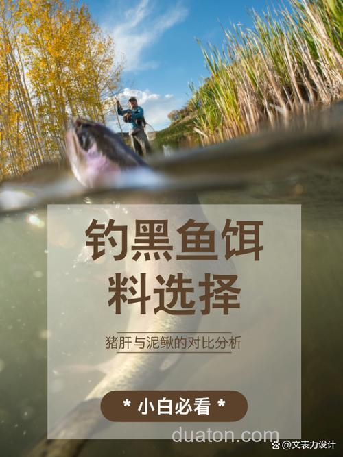 用泥鳅当鱼饵钓黑鱼的技巧分析