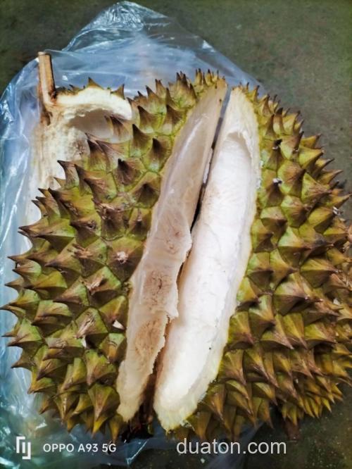 榴莲皮可以钓鱼吗？